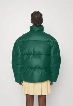 Ellesse Jesmi Padded JacketGiacca InvernaleGreen Donna Giacche E Blazer EL921U02E-M11 12 Ellesse Jesmi Padded JacketGiacca InvernaleGreen Donna Giacche E Blazer EL921U02E-M11 -Ellesse 7ae6ba2c7616466cab4d57a65335ec74