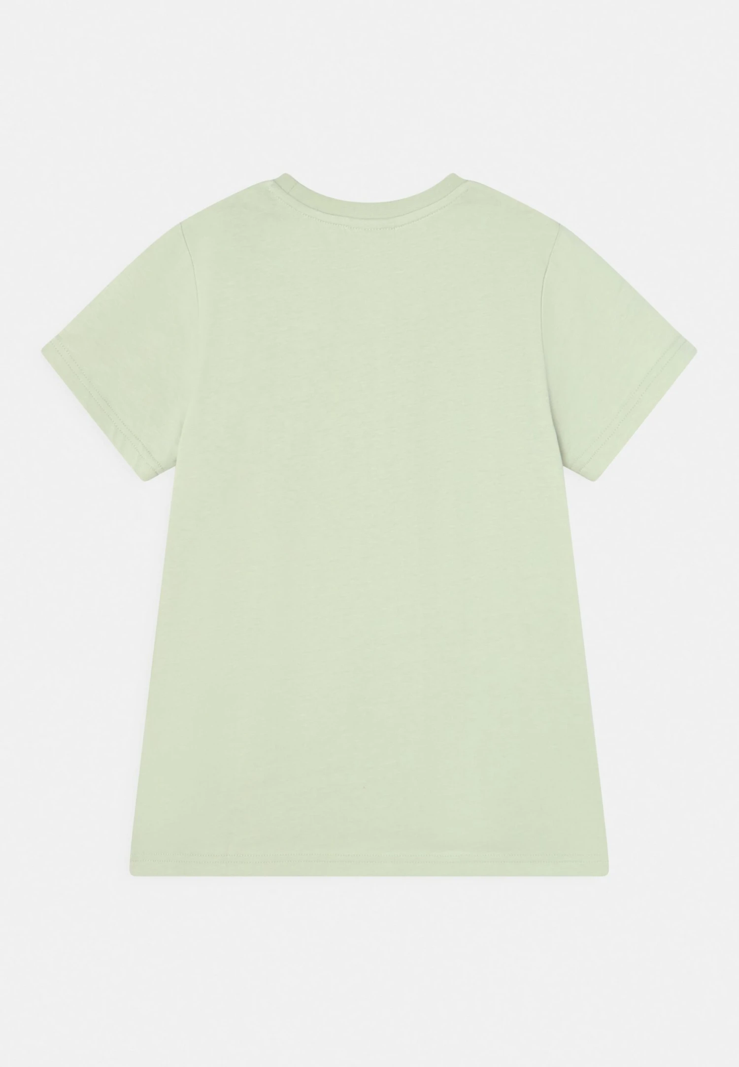 Ellesse TerrenoT-Shirt Con StampaLight Green Bambini T-shirt & Top EL924G01K-M11 2 Ellesse TerrenoT-Shirt Con StampaLight Green Bambini T-shirt & Top EL924G01K-M11 - immagine 2