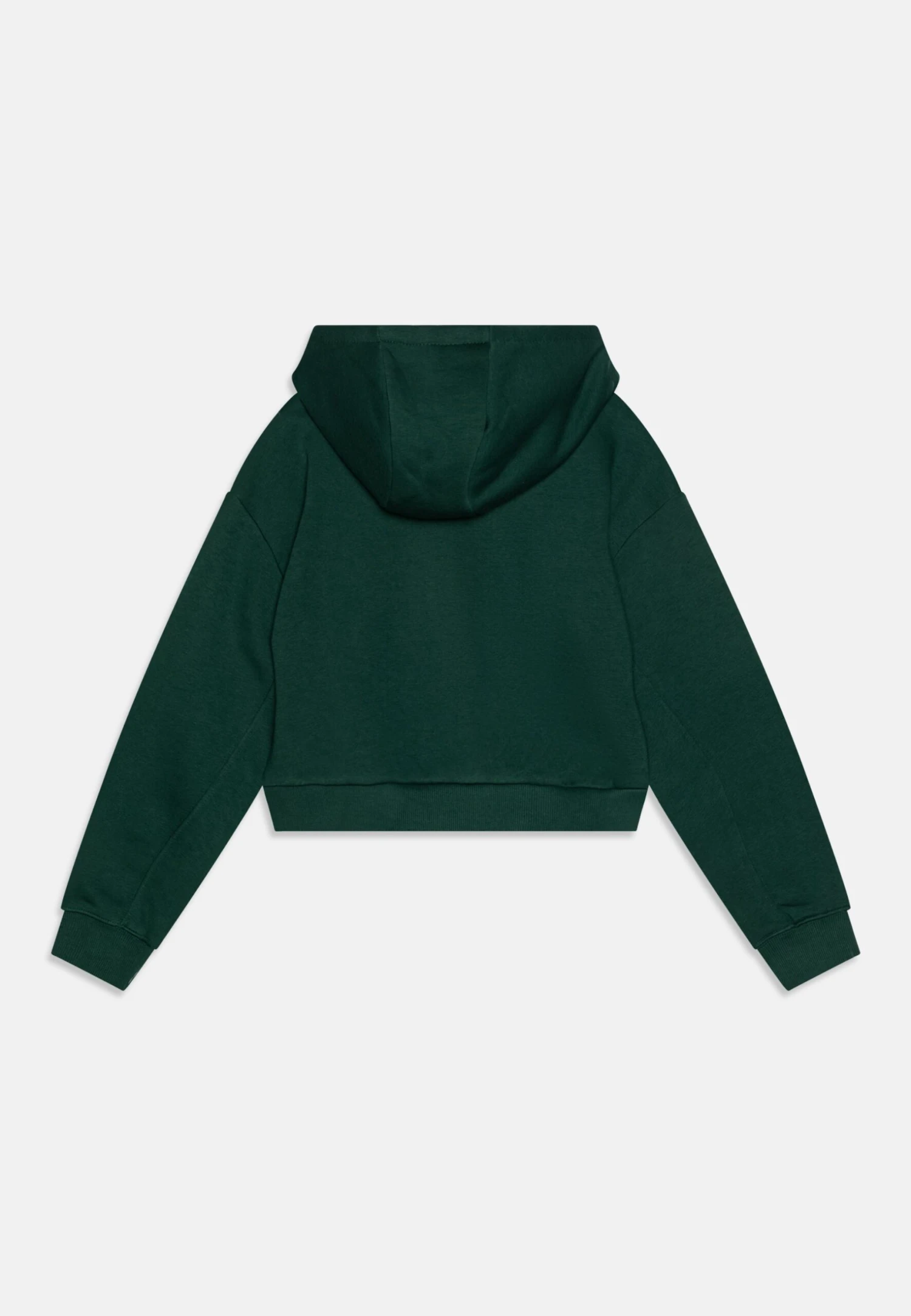 Ellesse Lacase Crop HoodyFelpa Con CappuccioDark Green Bambini Pullover & Cardigan EL923K01W-M11 2 Ellesse Lacase Crop HoodyFelpa Con CappuccioDark Green Bambini Pullover & Cardigan EL923K01W-M11 - immagine 2