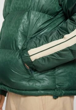 Ellesse Appiani Padded JacketGiacca InvernaleDark Green Uomo Giacche EL922T0A0-M11 -Ellesse b1c095a57b424a3c927a2b7272356dcd